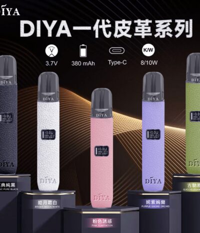 DIYA皮革調主機