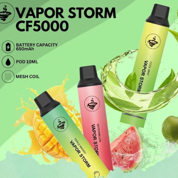 VAPOR STORM 5000口拋棄式電子煙｜多口味選擇｜大容量煙油｜便攜型設計