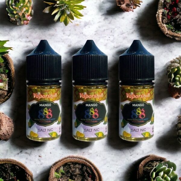 馬來西亞進口 888系列 大煙60ML