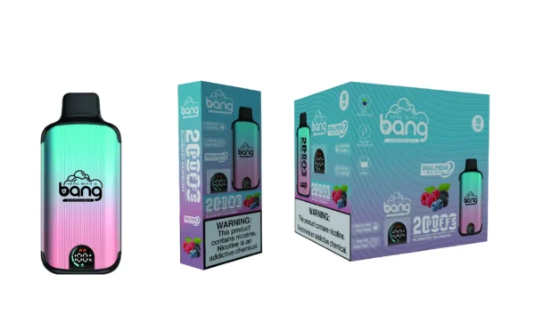 24H vape Bang 20000 蓝莓树莓