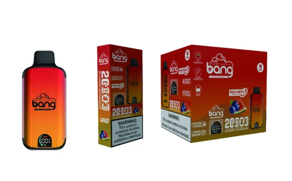 24H vape Bang 20000 Puffs 藍莓i西瓜