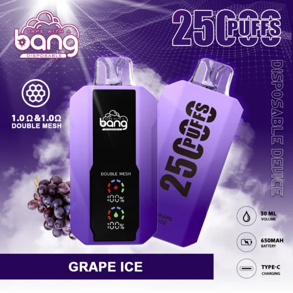 BANG 25000 Puffs 4