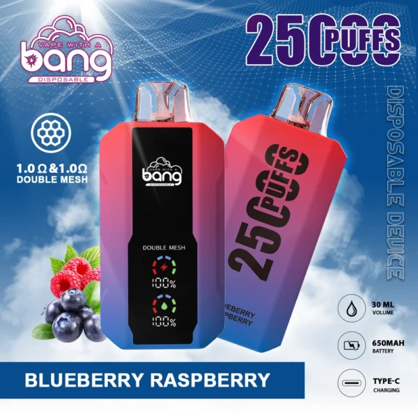 BANG 25000 Puffs 5