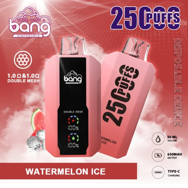 BANG 25000 Puffs 6