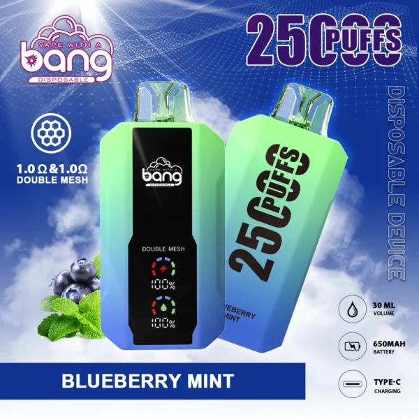 Bang 25000puf藍莓