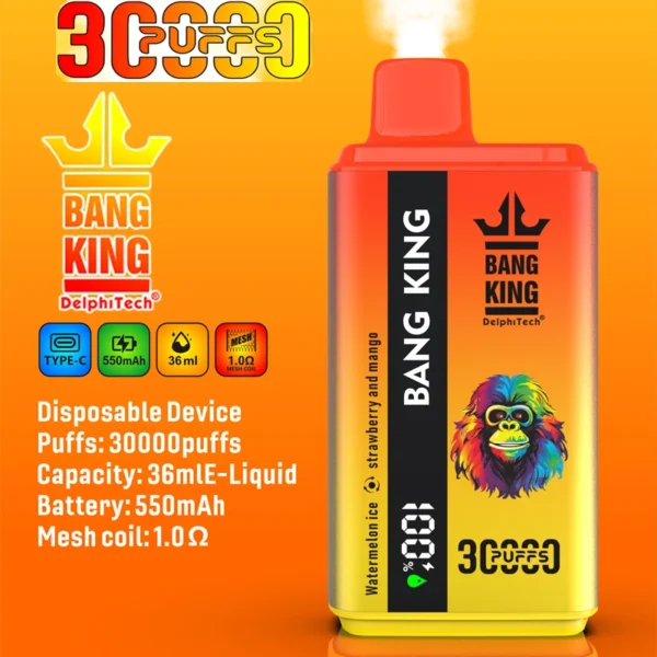 Bang King 30000 Puffs Double Flavors 1
