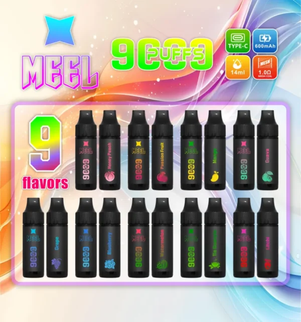 MEEL9000口抛棄式口味表