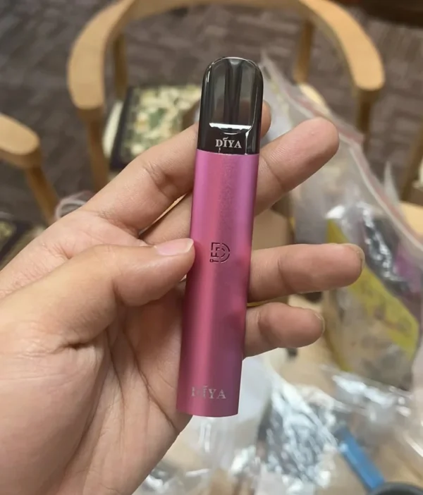 diya e1731650142851