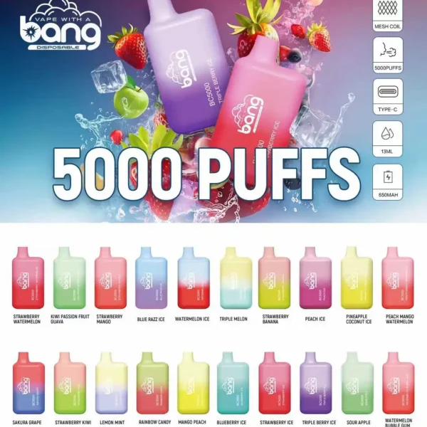 BANG BC 5000口一次性電子煙 16種口味 抛棄式