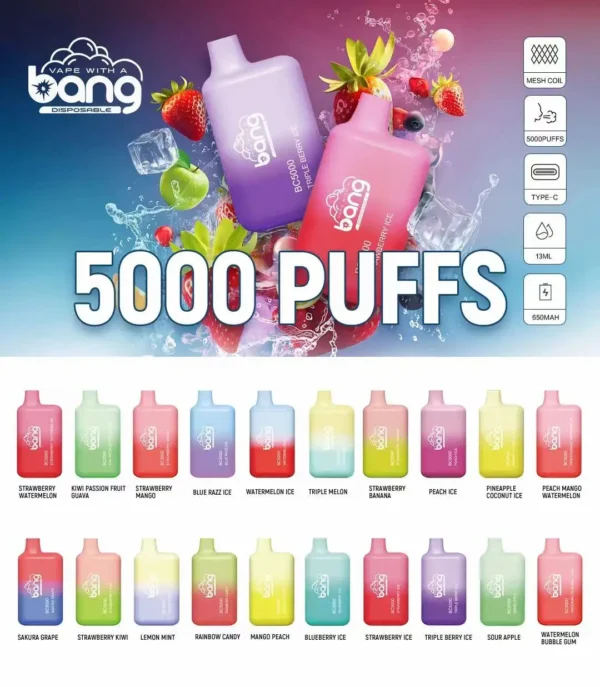 elektrische zigarette Bang BC5000 Disposable Vapes