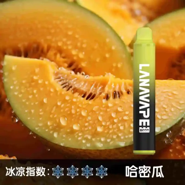 lana8000口 哈密瓜 1