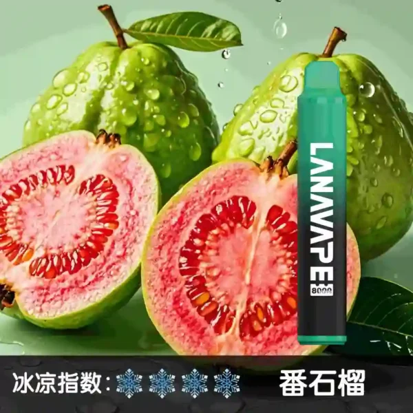 lana8000口 番石榴 1