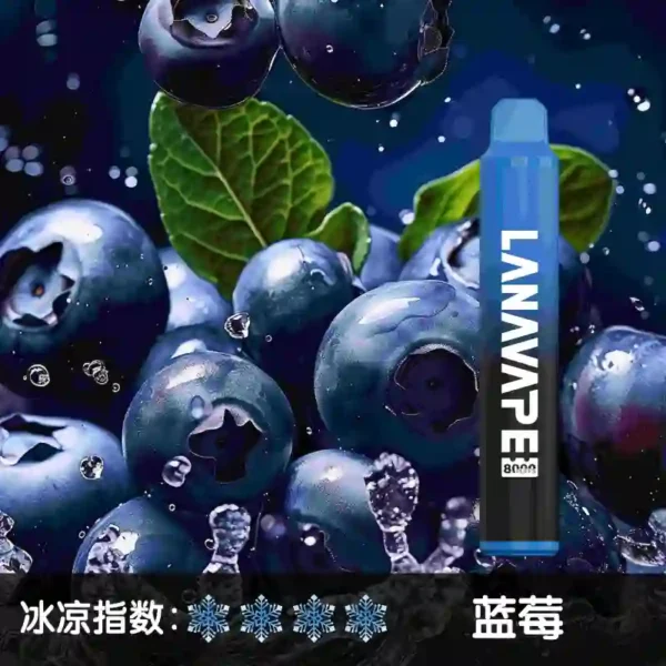 lana8000口 藍莓 1