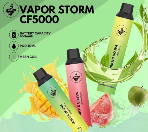 風暴5000口抛棄式 5 e1746503614144